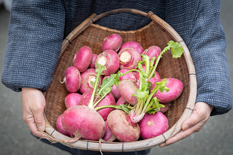 Takayama Morning Market with fresh vegetables like radishes