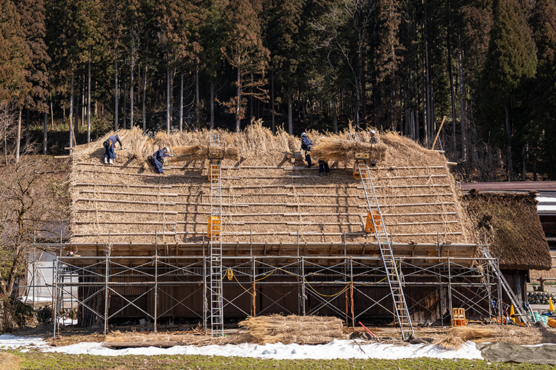 The Art of Roof Thatching: Challenges and Expertise in Crafting Gassho-zukuri Roofs