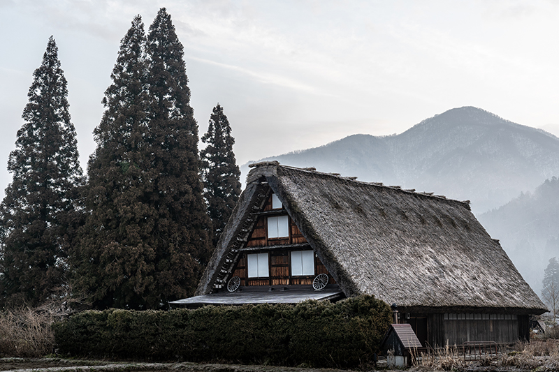 Thatched-Roof Homes Dating Back 250-300 Years