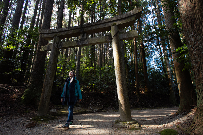 偶爾出現的神社與寺廟點綴了中山道路線