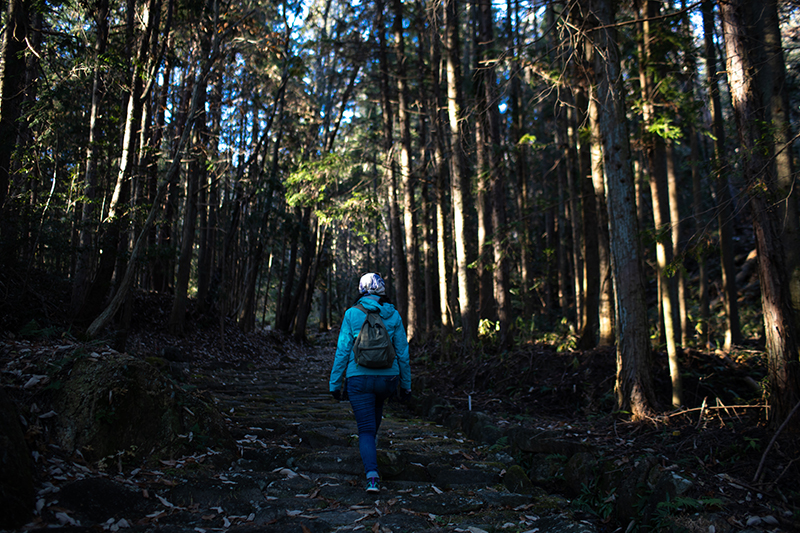 Walking slows time and allows the mind to wander