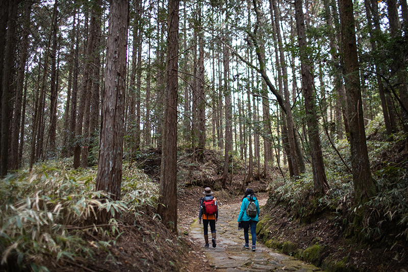 Goshikigahara Forest