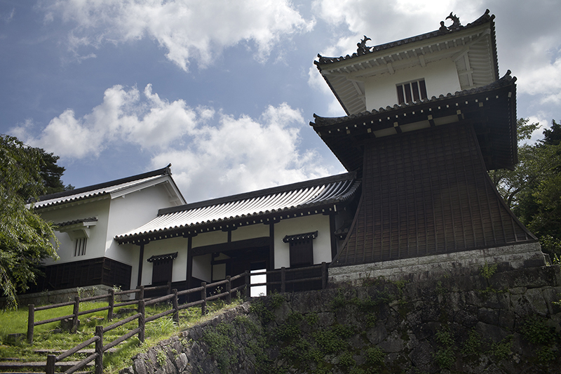 Iwamura Castle