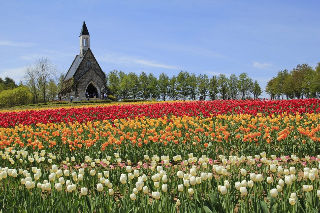 Bokka no Sato 牧歌の里 - theme park with fields of flowers