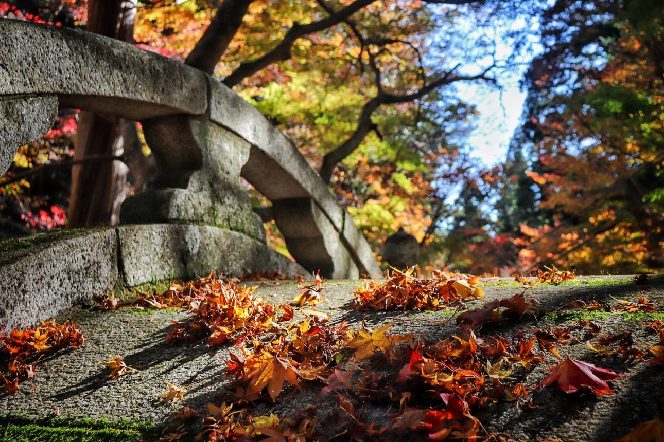 Oyada Shrine Maple Valley