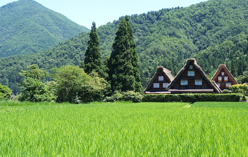 Shirakawa-go