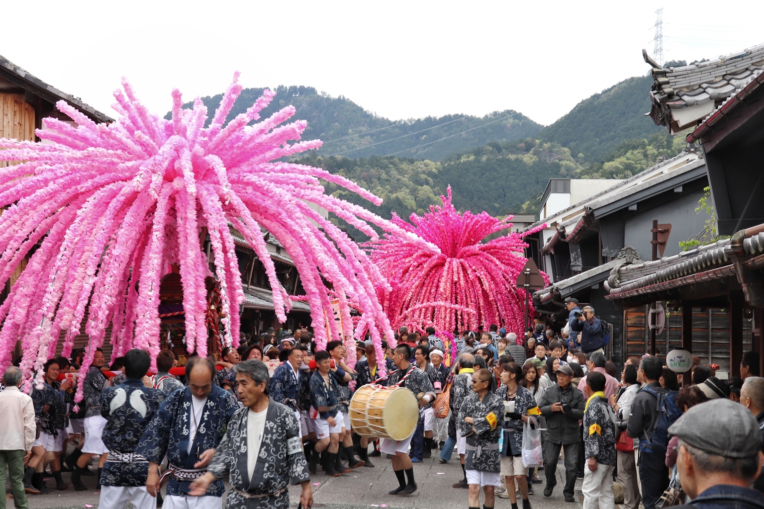 Unique cherry trees festival in Japan