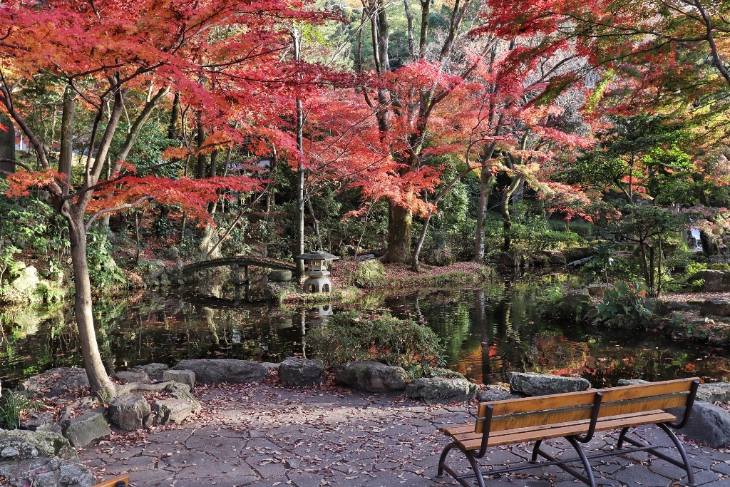 Gifu Park