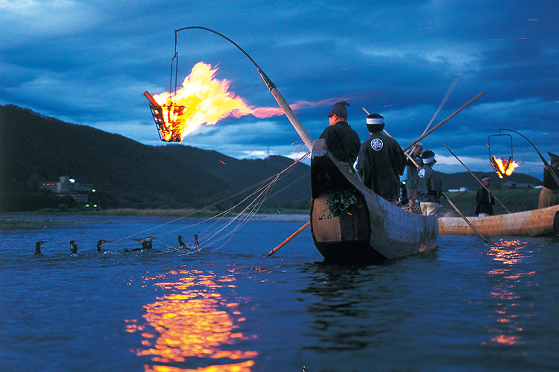 Cormorant Fishing on the Nagara River