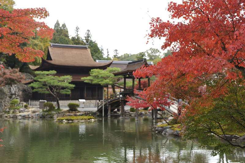 Tranquil Japanese Garden In Zen Temple Visit Gifu Japan Official Tourism Website Visitgifu Com