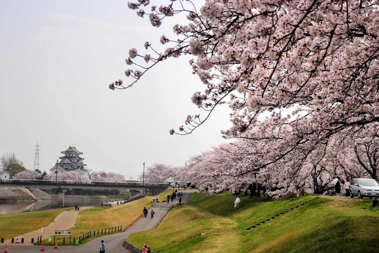 Sunomata Castle