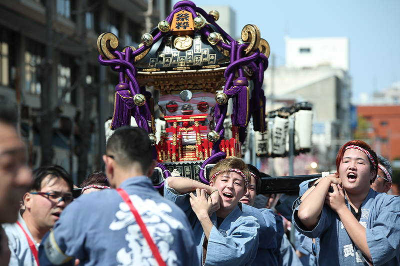 Dosan Festival