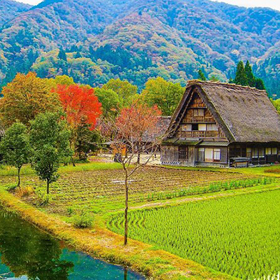 Shirakawago and Takayama 2-days tour from Osaka/Kyoto/Nagoya