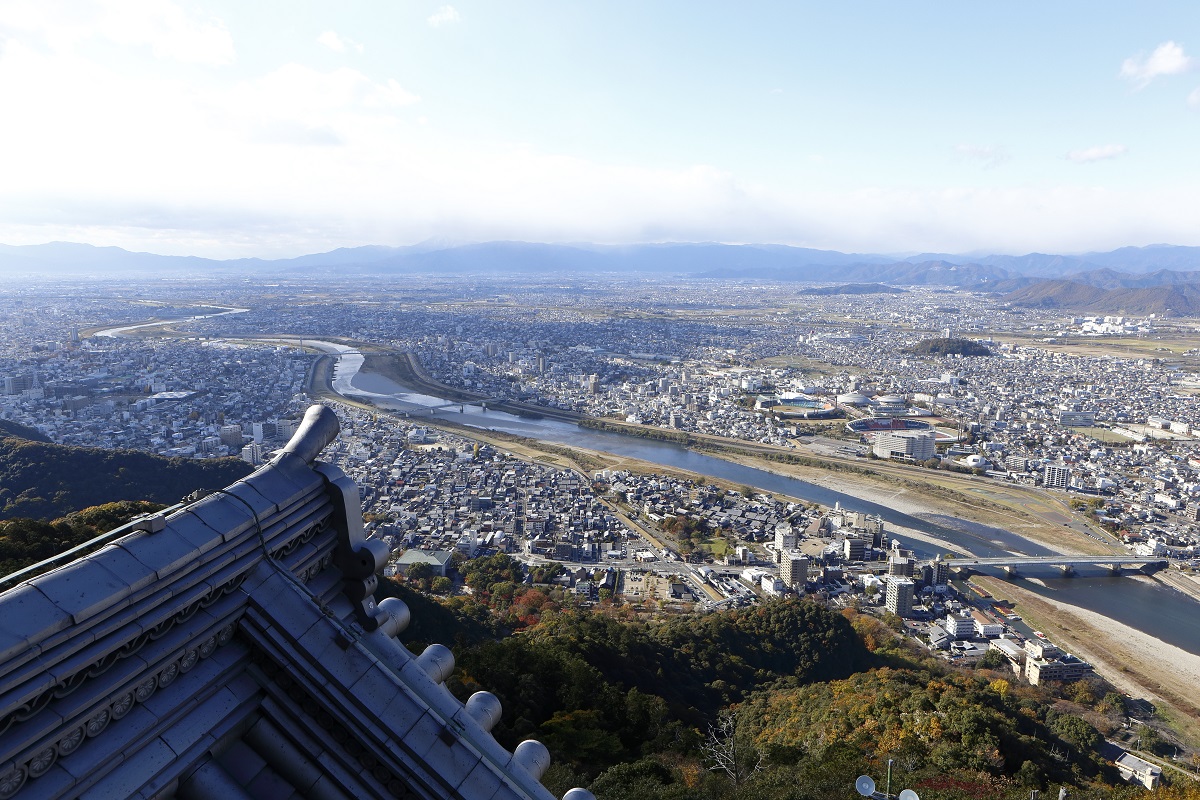 Gifu Castle View