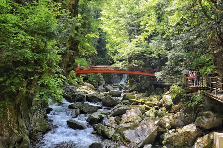 Forest gorge with flowing river and red footbridge at Hida-Osaka Falls