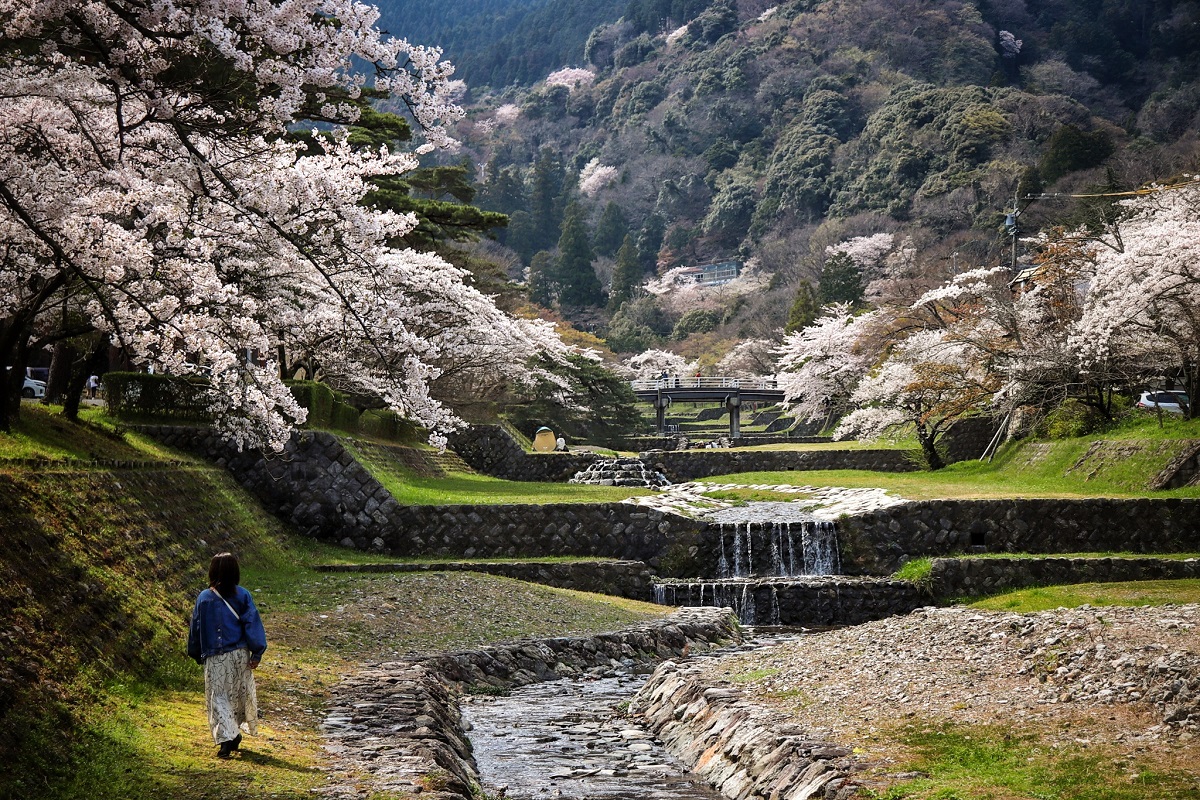 Parque de Yoro Gifu