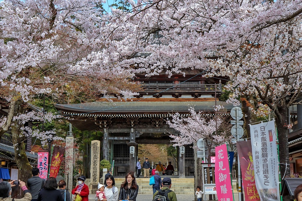 Kegon-ji Temple Sakura