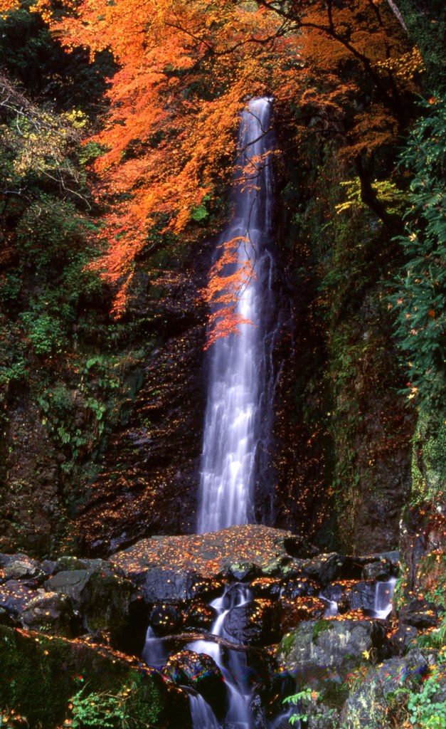 Cascadas japonesas de Yoro