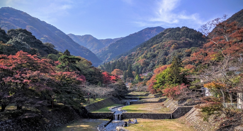 Yoro Park autumn