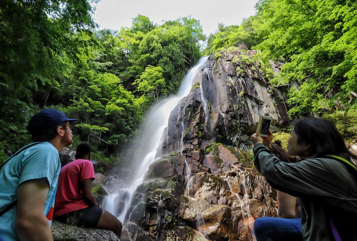 Okura Falls Nature Trail Park