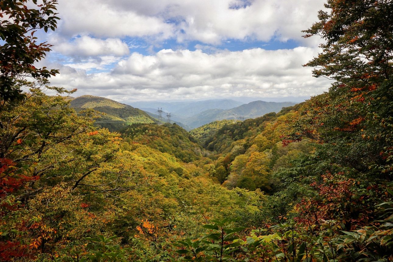 Amou Prefectural Nature Park