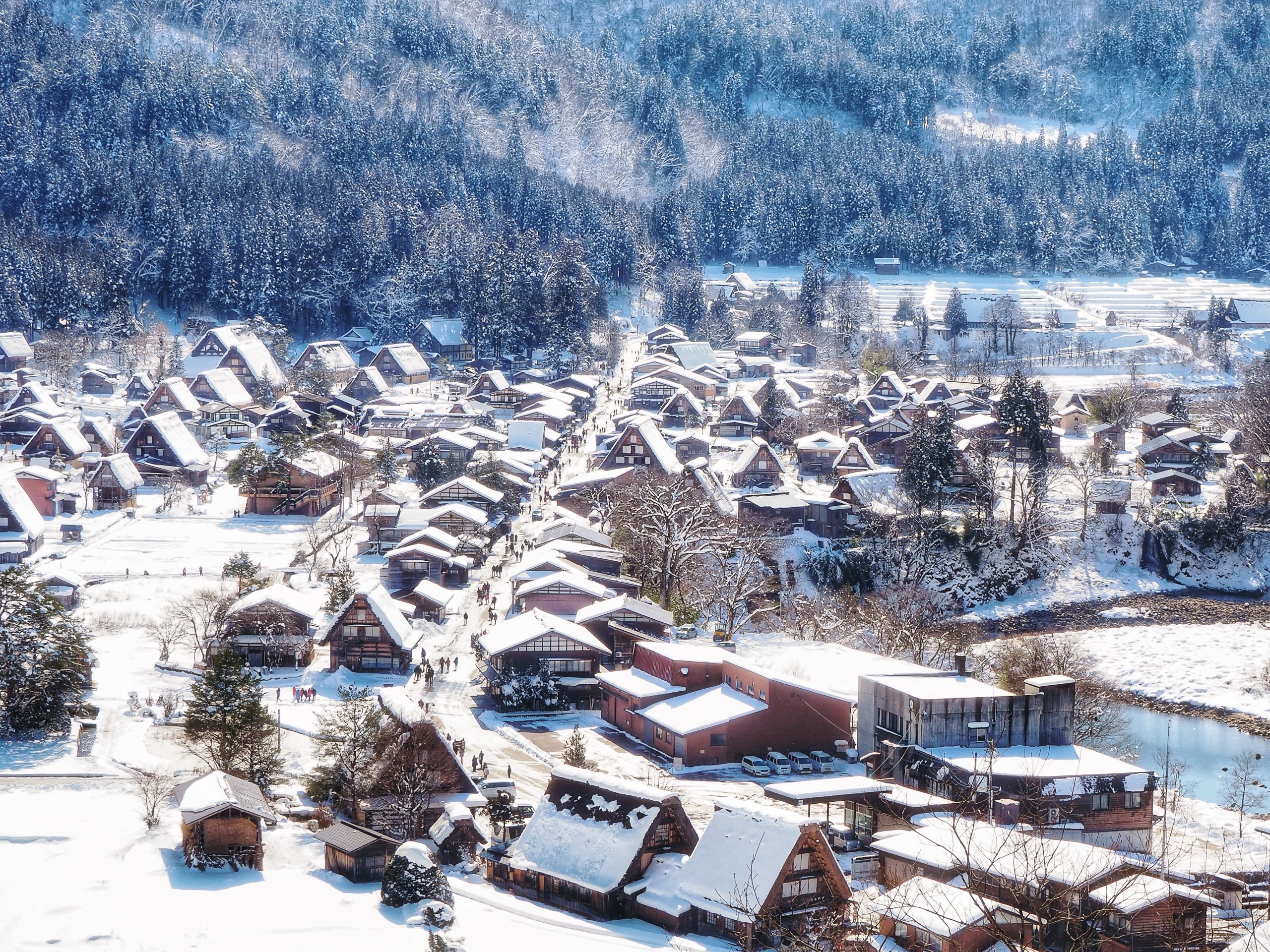 Experience Northern Gifu’s Snowy Winter from Home (LIVE CAMERAS