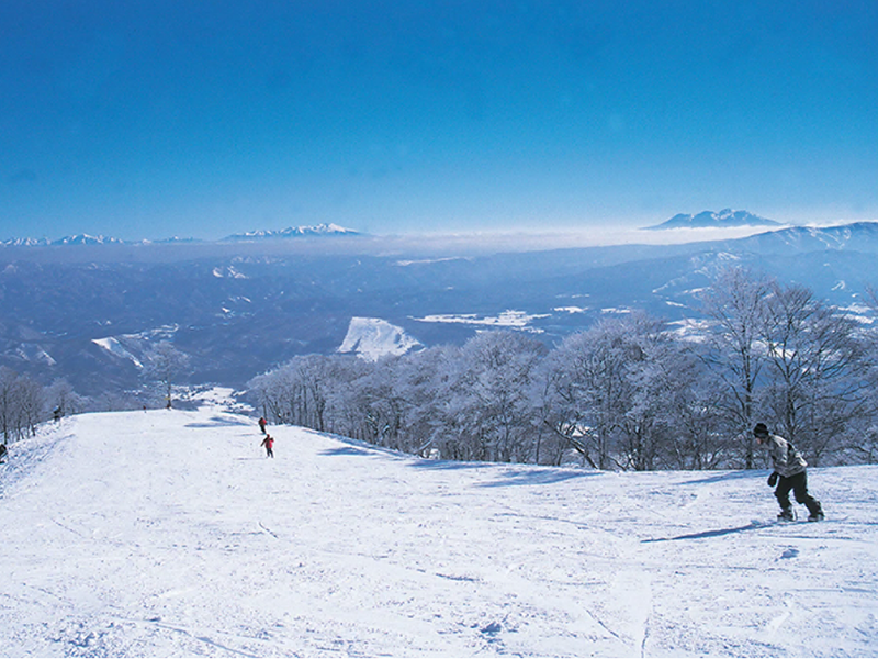 Skiing and Snowboading