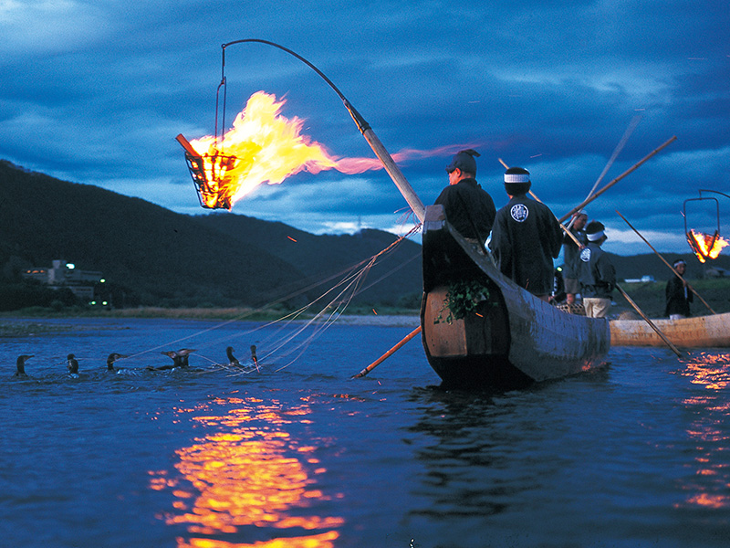 Gifu Cormorant Fishing on the Nagara River