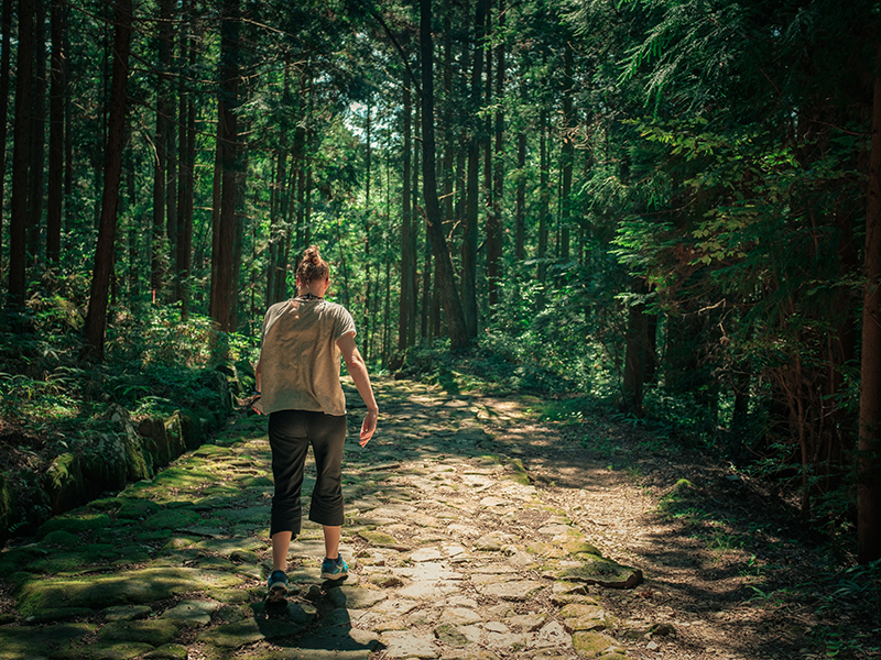 Nakasendo Walking