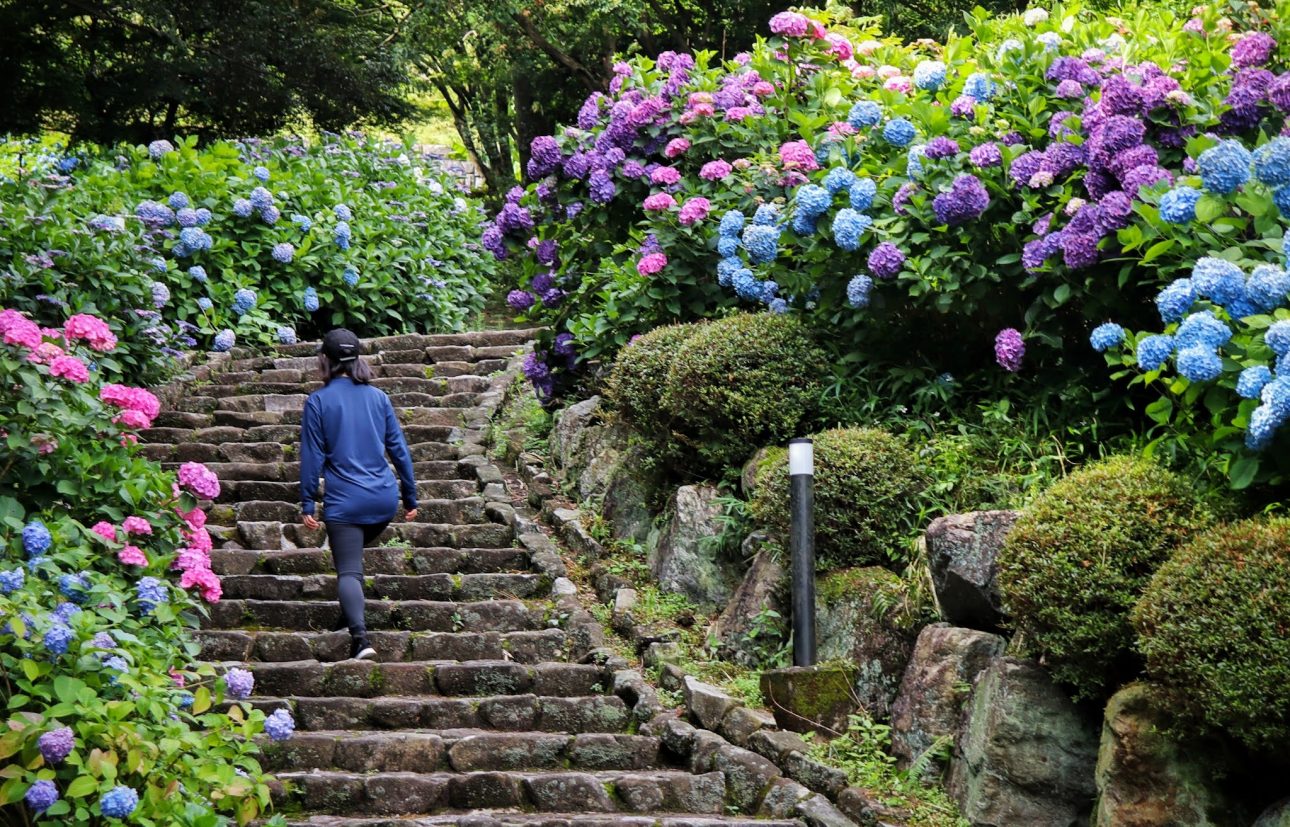 Tsukimi no Mori Park