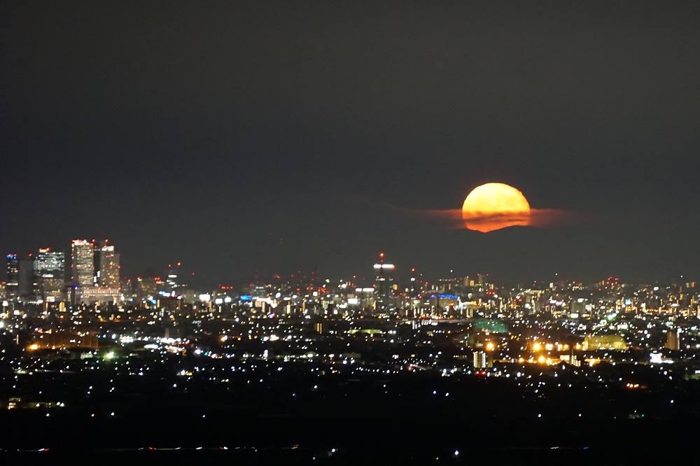 Tsukimi no Mori Park